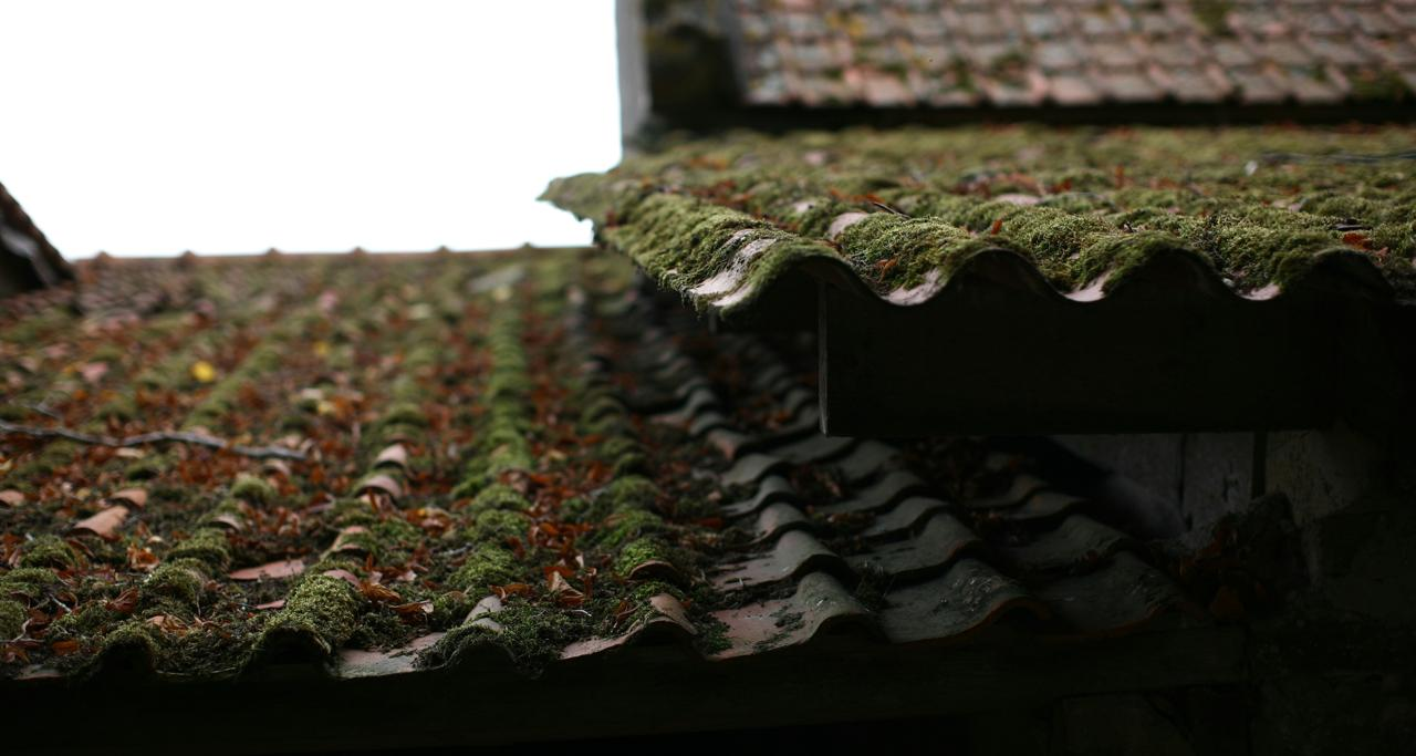 Roof Cleaning Cape Town